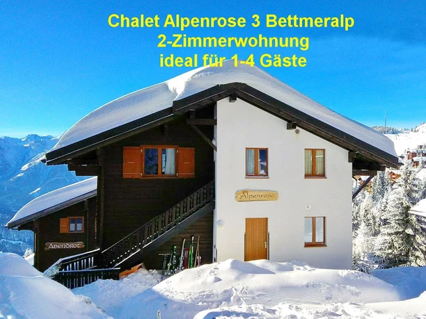 Alpenrose Winter