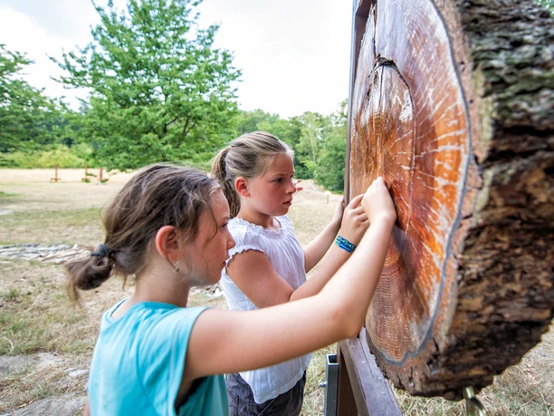 Bildungsstätte Sellnitz Zwei Mädchen betrachten interessiert die Jahresringe eines großen Baumstamms im Freien, umgeben von grünen Bäumen und Wiesen.
