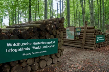 Pile of wood in the forest with green signs for the Hinterhermsdorf forest hut and the Saxon Switzerland National Park, surrounded by trees.