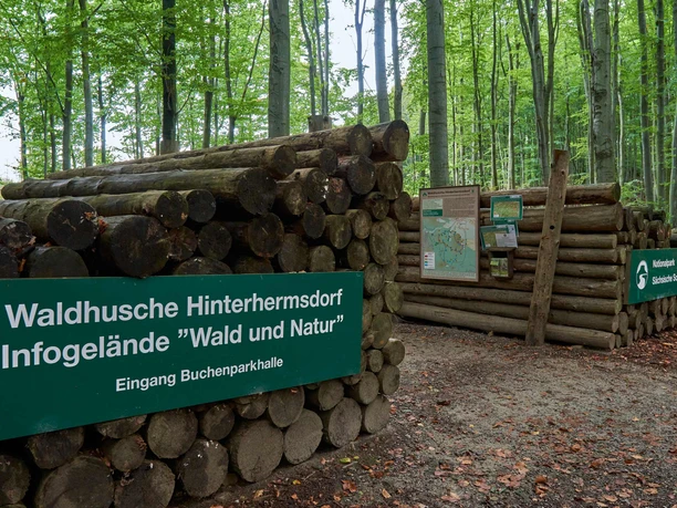 Stapel hout in het bos met groene bordjes voor de boshut Hinterhermsdorf en het Nationaal Park Sächsische Schweiz, omgeven door bomen.