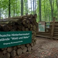 Waldhusche Hinterhermsdorf Holzstapel im Wald mit grünen Schildern der Waldhusche Hinterhermsdorf und des Nationalparks Sächsische Schweiz, umgeben von Bäumen.