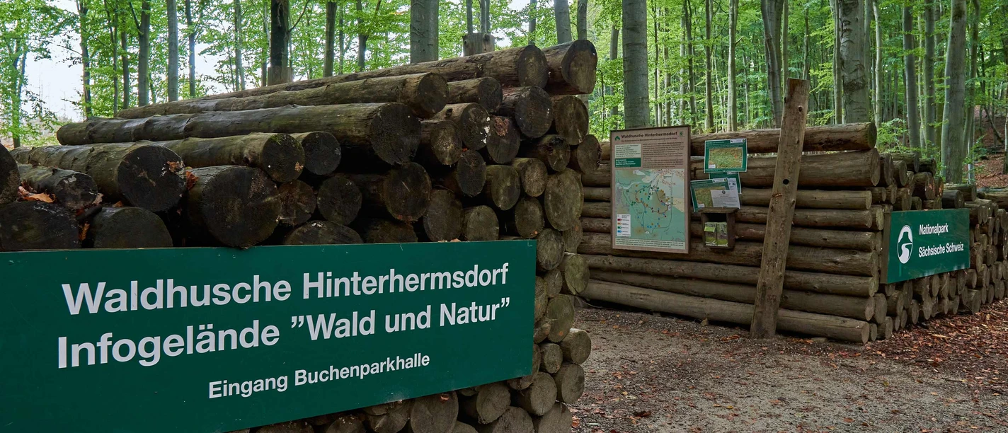 Waldhusche Hinterhermsdorf Holzstapel im Wald mit grünen Schildern der Waldhusche Hinterhermsdorf und des Nationalparks Sächsische Schweiz, umgeben von Bäumen.