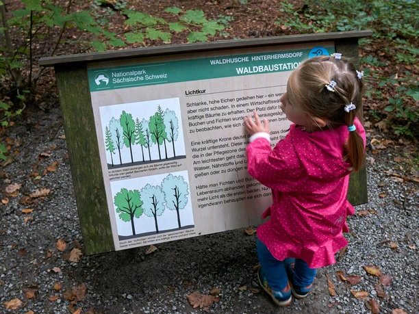 Een klein meisje in een roze jas kijkt naar een informatiebord in het Nationaal Park Sächsische Schweiz, omgeven door bos.