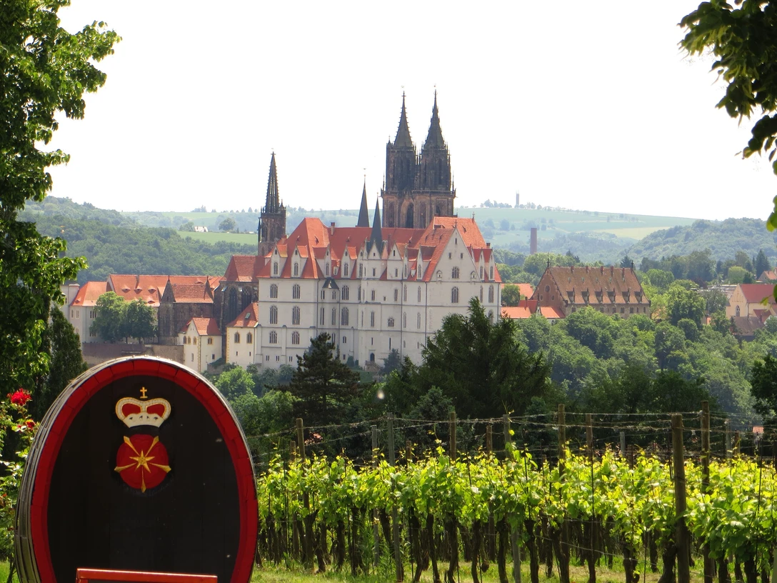 Meißen Burgberg vom Proschwitzer Weinberg (1).jpg Burgberg Meißen vom Proschwitzer Weinberg aus