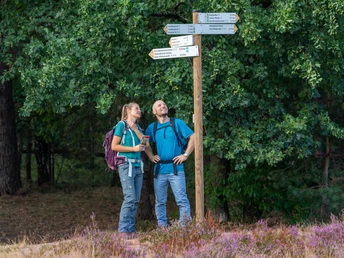 Zwei Wanderer betrachten lächelnd Wegweiser, umgeben von üppigem Grün und lila Heidekraut.