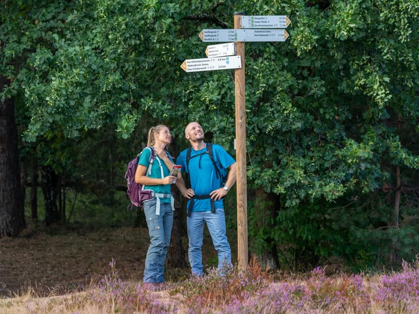 Hoevelhof-Emsquelle-Heide-Teutoburger-Wald-Tourismus-Patrick-Gawandtka-143.jpg Zwei Wanderer betrachten lächelnd Wegweiser, umgeben von üppigem Grün und lila Heidekraut.
