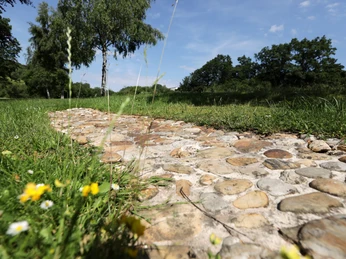 Bad Endbach - Barfußpfad Bad Endbach - Barfußpfad