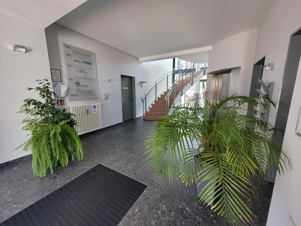 Petri Forum3_Silvana Dust_20230228.jpg