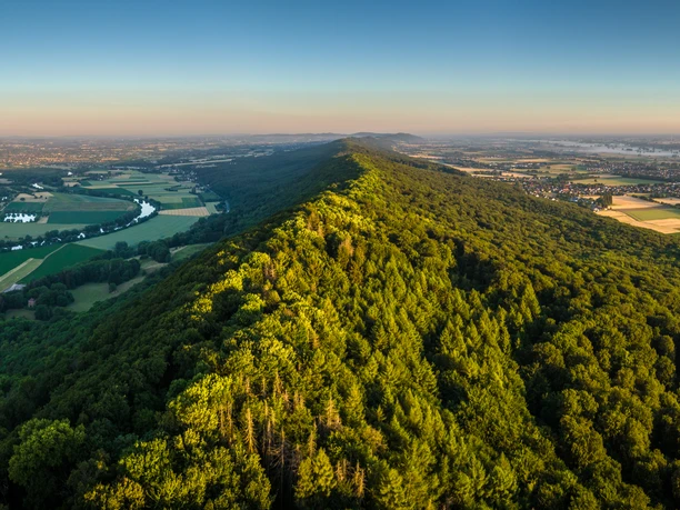Porta Westfalica-Kaiser-Wilhelm-Denkmal-Teutoburger-Wald-Tourismus-D-Ketz-011.jpg Luftaufnahme eines üppig bewaldeten Hügels inmitten einer weiten, grünen Landschaft.