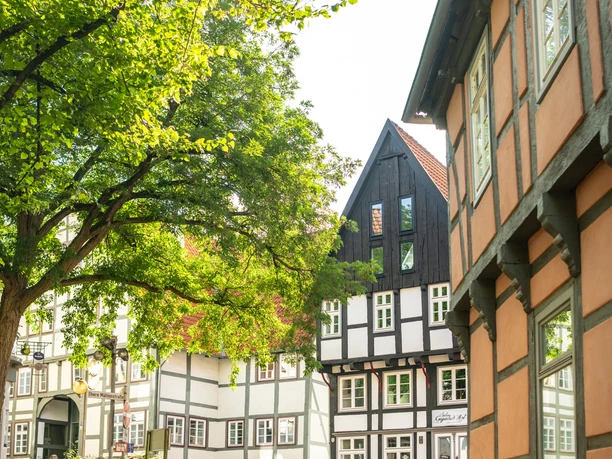 Bad Salzuflen-Kaffeerösterei Bo-Haus Backs-Teutoburger-Wald-Tourismus-D-Ketz-020-CC-BY-SA.jpg Fachwerkhäuser umgeben einen sonnigen, gepflasterten Platz mit einem großen, schattenspendenden Baum.
