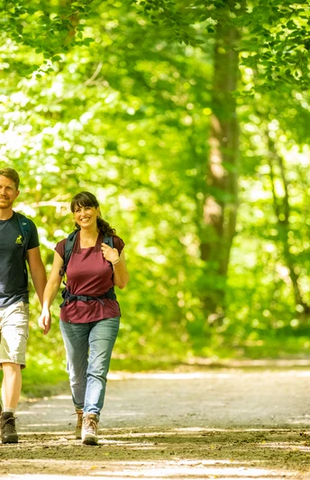 Bad Salzuflen-VitalWanderWelt-Teutoburger-Wald-Tourismus-D-Ketz-066.jpg Zwei Personen spazieren auf einem sonnendurchfluteten Waldweg, umgeben von üppigem grünen Laub.