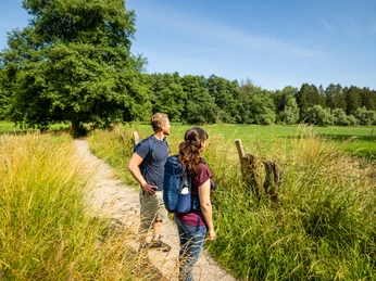 Zwei Wanderer auf einem sonnigen, grasgesäumten Weg durch eine grüne Landschaft mit Bäumen und blauem Himmel.