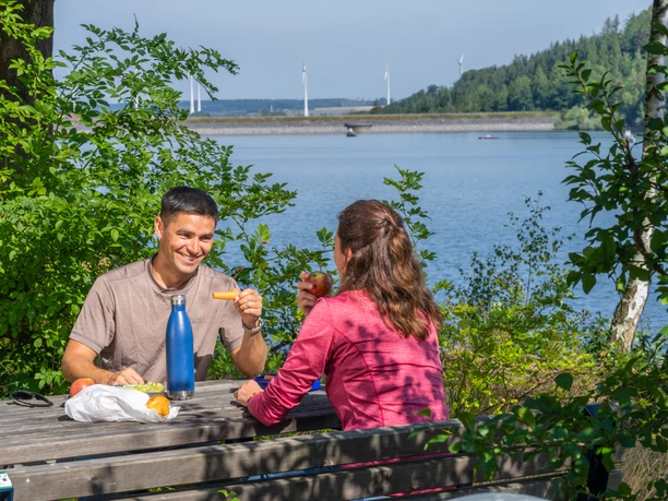 <p>Een stel picknickt bij het meer, omringd door weelderig groen, met windturbines in de verte.</p>