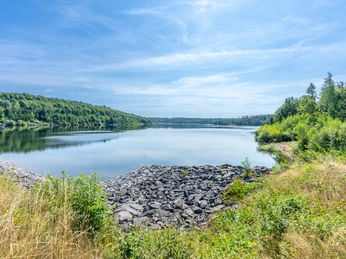 Ein ruhiger See umgeben von grünen Wäldern, blauer Himmel mit weißen Wolken darüber.