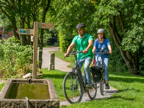 Two cyclists enjoy a ride on a green forest path in sunny weather.