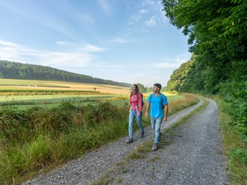 Zwei Wanderer auf einem Schotterweg in einer grünen Landschaft bei klarem Himmel und Wald.