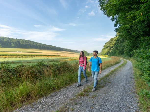 Zwei Wanderer auf einem Schotterweg in einer grünen Landschaft bei klarem Himmel und Wald.