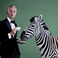 max-raabe.jpg