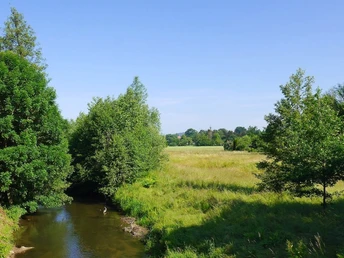 Fluss Bega bei Ehrsen-Breden