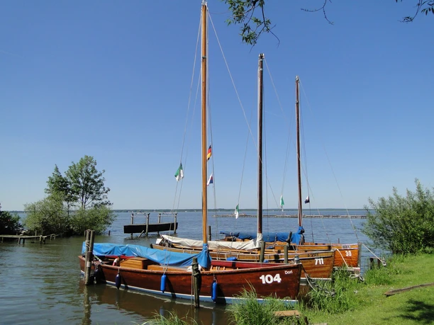 Auswanderer am Ufer Drei traditionelle hölzerne Segelboote liegen vertäut an einem ruhigen Seeufer, umgeben von grünem Schilf.