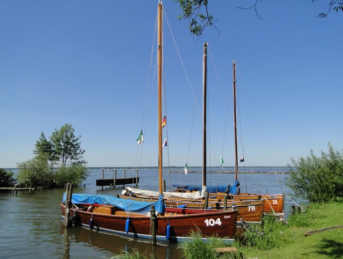 Auswanderer am Ufer Drei traditionelle hölzerne Segelboote liegen vertäut an einem ruhigen Seeufer, umgeben von grünem Schilf.