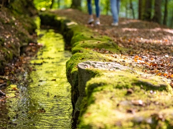 Ein Waldpfad mit Laub bedeckt, gesäumt von einem klaren Bach und zwei Personen, die entlang spazieren.