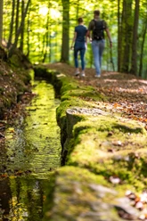 Schieder-Schwalenberg-Stadtwasser-Teutoburger-Wald-Tourismus-D-Ketz-112-CC-BY-SA.jpg Ein Waldpfad mit Laub bedeckt, gesäumt von einem klaren Bach und zwei Personen, die entlang spazieren.