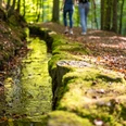 Schieder-Schwalenberg-Stadtwasser-Teutoburger-Wald-Tourismus-D-Ketz-112-CC-BY-SA.jpg Ein Waldpfad mit Laub bedeckt, gesäumt von einem klaren Bach und zwei Personen, die entlang spazieren.