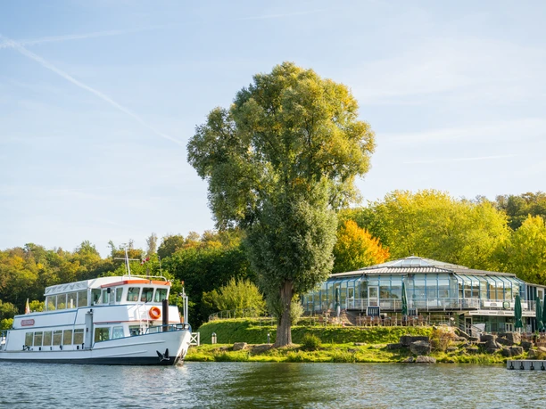 Schieder-Schwalenberg-Schiedersee-Teutoburger-Wald-Tourismus-D-Ketz-074-CC-BY-SA.jpg Weißes Ausflugsschiff auf einem Fluss, umgeben von grünen Bäumen und einem Gewächshaus am Ufer.