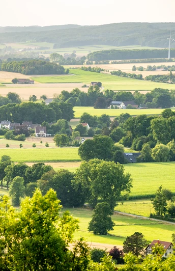 Panoramablick über eine weitläufige, grüne Landschaft mit Feldern, Wäldern und vereinzelten Höfen.