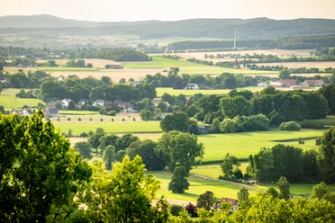 Borgholzhausen-Burg Ravensberg-Teutoburger-Wald-Tourismus-D-Ketz-092.jpg Panoramablick über eine weitläufige, grüne Landschaft mit Feldern, Wäldern und vereinzelten Höfen.