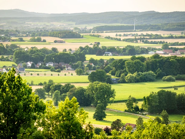 Borgholzhausen-Burg Ravensberg-Teutoburger-Wald-Tourismus-D-Ketz-092.jpg Panoramablick über eine weitläufige, grüne Landschaft mit Feldern, Wäldern und vereinzelten Höfen.
