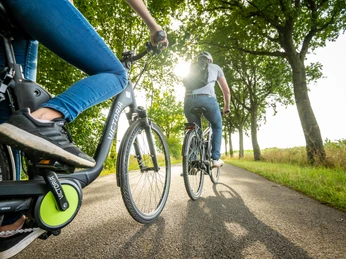 Borgholzhausen-Grenzgaengerroute Teuto-Ems-Teutoburger-Wald-Tourismus-D-Ketz-082.jpg Zwei Personen radeln auf einem asphaltierten Weg durch eine sonnendurchflutete Allee.