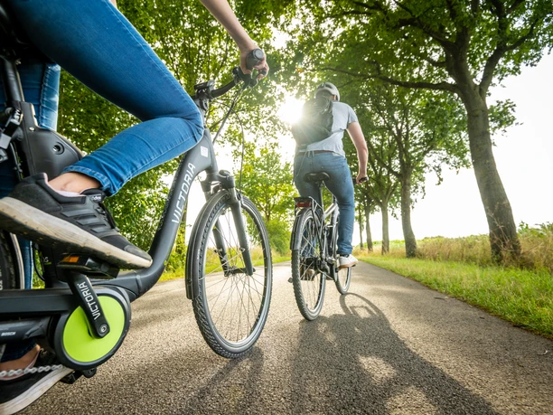 Borgholzhausen-Grenzgaengerroute Teuto-Ems-Teutoburger-Wald-Tourismus-D-Ketz-082.jpg Zwei Personen radeln auf einem asphaltierten Weg durch eine sonnendurchflutete Allee.