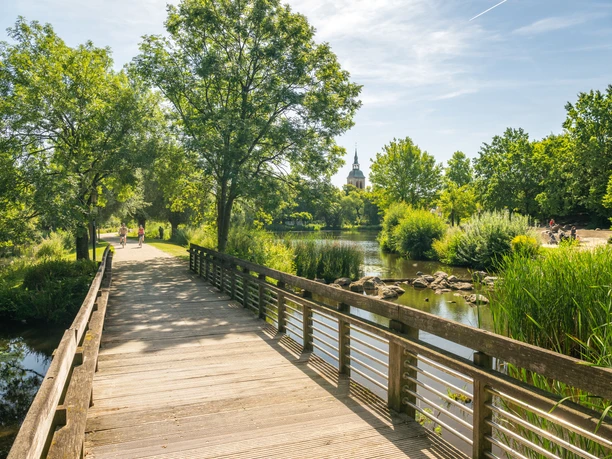 Ein idyllischer, hölzerner Steg führt durch üppige, grüne Vegetation entlang eines ruhigen Sees.
