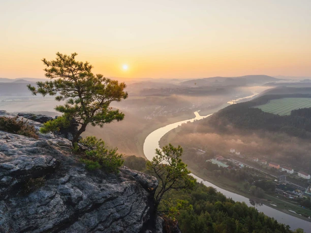 Blick vom Lilienstein in Richtung Bad Schandau Ein einzelner Baum steht auf einem Felsen mit Blick auf einen Fluss, der sich durch eine neblige Landschaft bei Sonnenaufgang schlängelt.