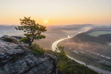 Uitzicht vanaf de Lilienstein richting Bad Schandau Een enkele boom staat op een rots met uitzicht op een rivier die tijdens zonsopgang door een mistig landschap kronkelt.