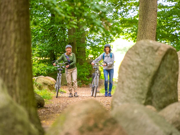 Petershagen-Findlingswald-Teutoburger-Wald-Tourismus-Patrick-Gawandtka-061.jpg Zwei Radfahrer genießen einen naturbelassenen Waldweg, umgeben von großen Felsbrocken und Bäumen.