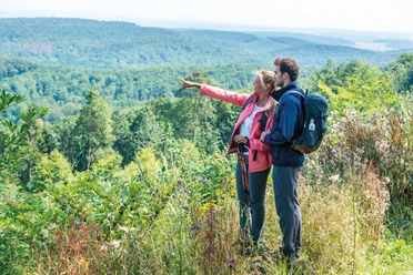 Wandern auf dem Eggeweg Wanderer blicken auf ein weitläufiges Waldpanorama, während sie zusammen auf dem Eggeweg stehen.