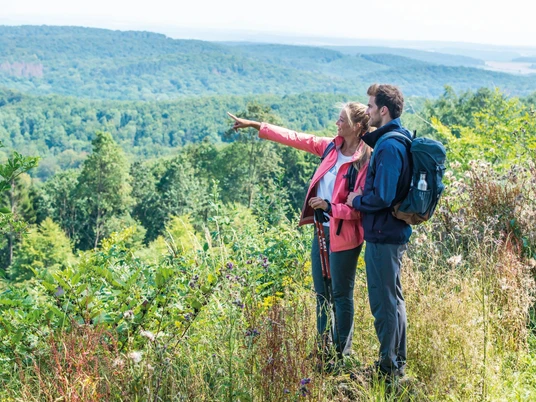 Wandern auf dem Eggeweg Wanderer blicken auf ein weitläufiges Waldpanorama, während sie zusammen auf dem Eggeweg stehen.