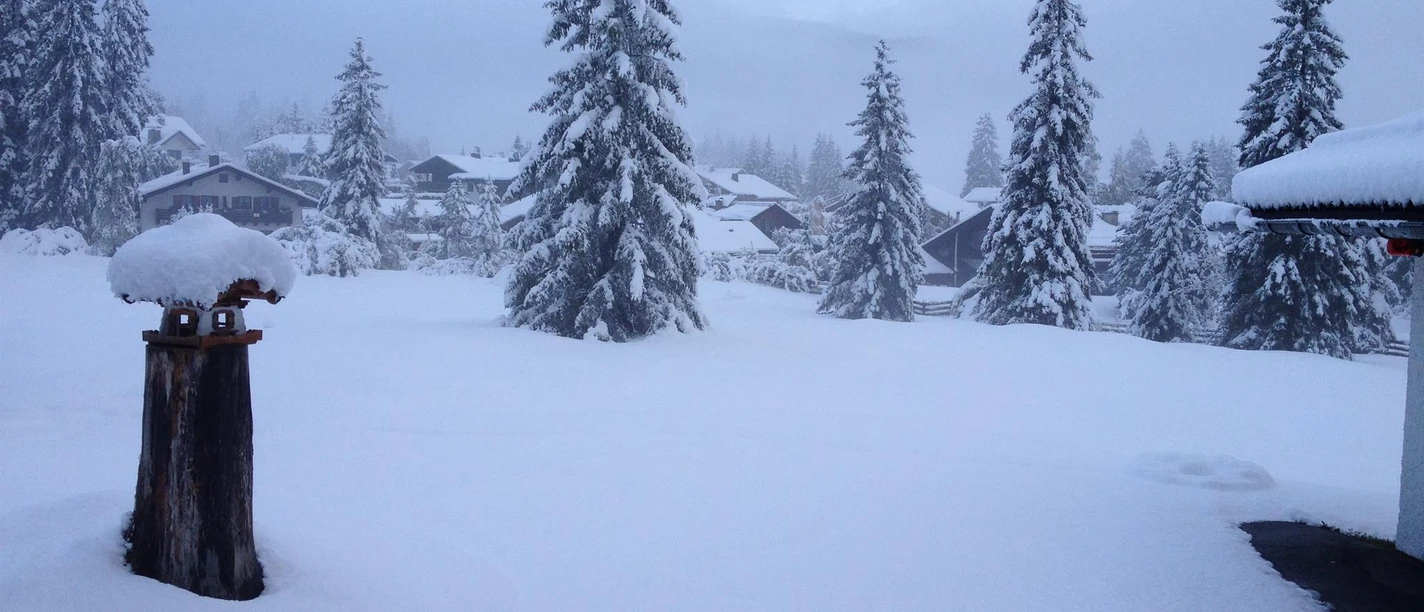 Garten im Winter 14000 qm