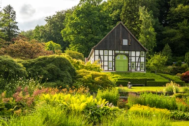 Bielefeld-Botanischer Garten-Teutoburger-Wald-Tourismus-D-Ketz-097-CC-BY-SA.jpg Bielefeld - Botanischer Garten