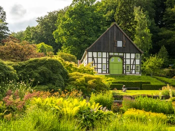 Bielefeld-Botanischer Garten-Teutoburger-Wald-Tourismus-D-Ketz-097-CC-BY-SA.jpg Bielefeld - Botanischer Garten