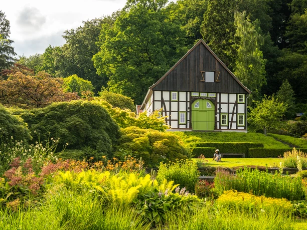 Bielefeld-Botanischer Garten-Teutoburger-Wald-Tourismus-D-Ketz-097-CC-BY-SA.jpg Bielefeld - Botanischer Garten