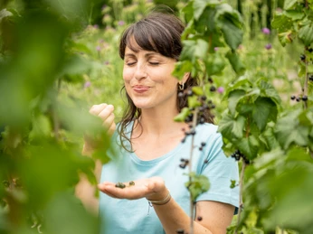 <p>Frau genießt eine Johannisbeere aus dem Garten, umgeben von grünem Laub bei sonnigem Wetter.</p>