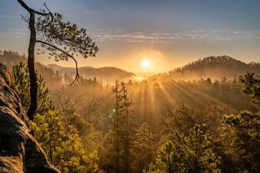 Uitzicht vanaf de Arnstein Zonsopgang boven een mistig bos met stralende zonnestralen die door de bomen schijnen; kalme, gouden sfeer.