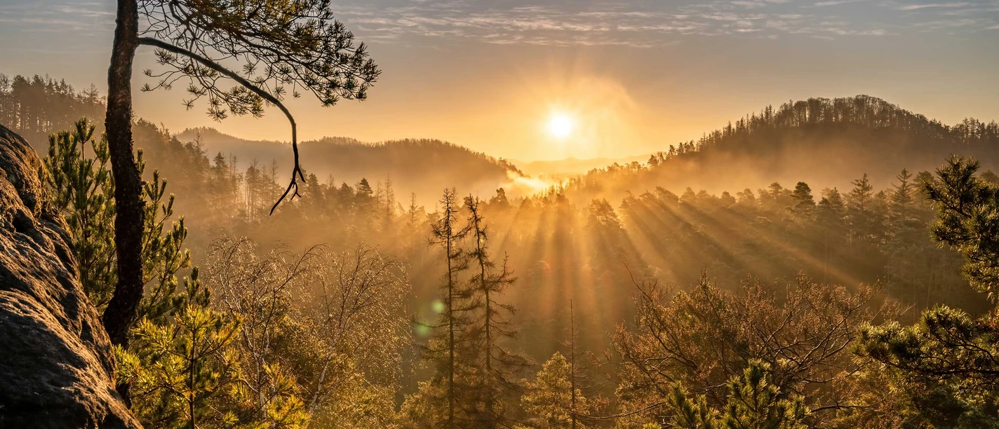 View from the Arnstein Sunrise over a misty forest with radiant sunbeams shining through the trees; calm, golden atmosphere.
