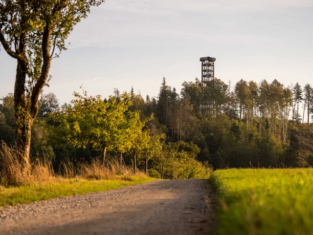 Uitzicht op de Weifbergtoren Een grindpad leidt door een groen landschap met bomen, op de achtergrond staat een houten uitkijktoren onder een heldere hemel.