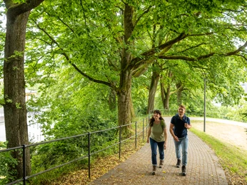 Ein Paar spaziert auf einem gepflasterten Weg unter üppig grünen Bäumen in einem Park.