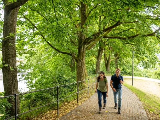 Ein Paar spaziert auf einem gepflasterten Weg unter üppig grünen Bäumen in einem Park.